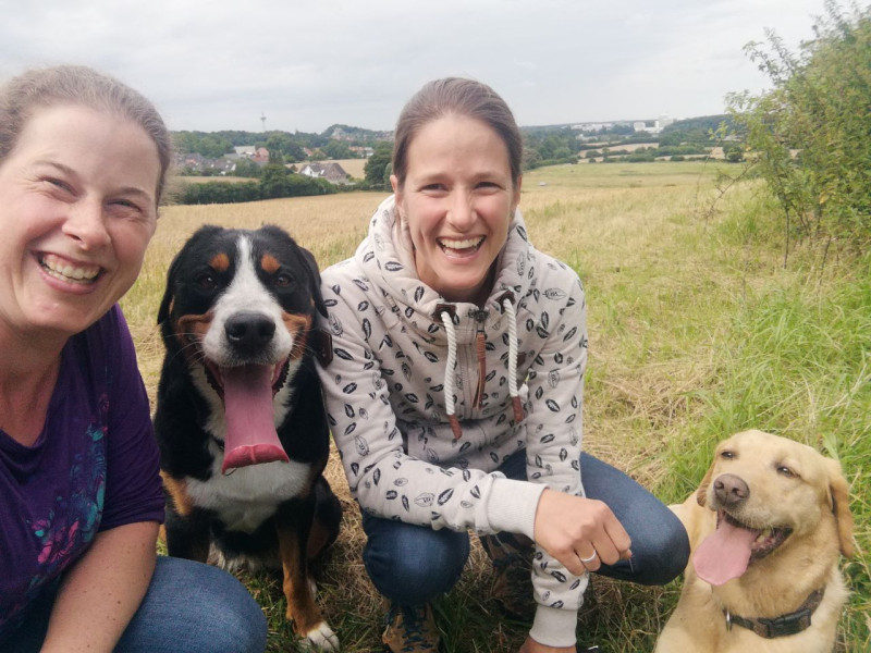 Gemeinsamer Hundespaziergang